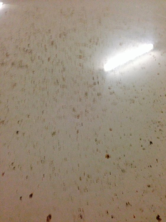photo 2.jpg