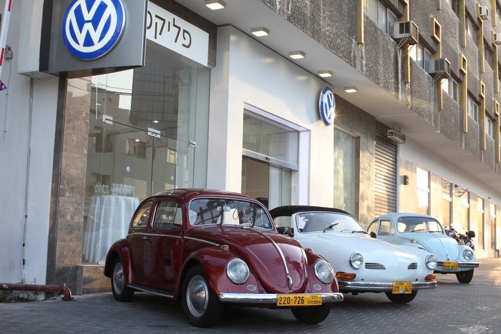 החברות הותיקות של פליקס.JPG