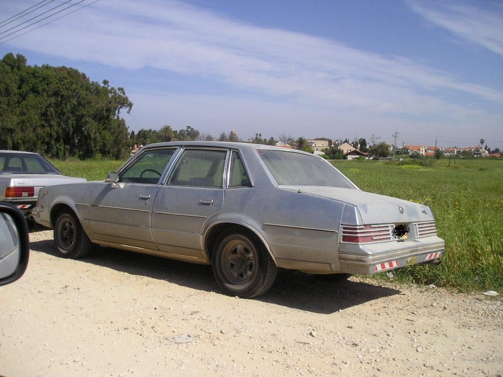 אמריקאית.JPG