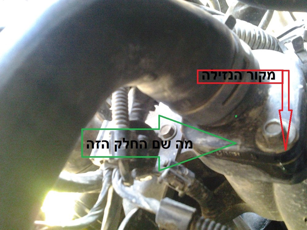 2011-11-26 12.31.41.jpg