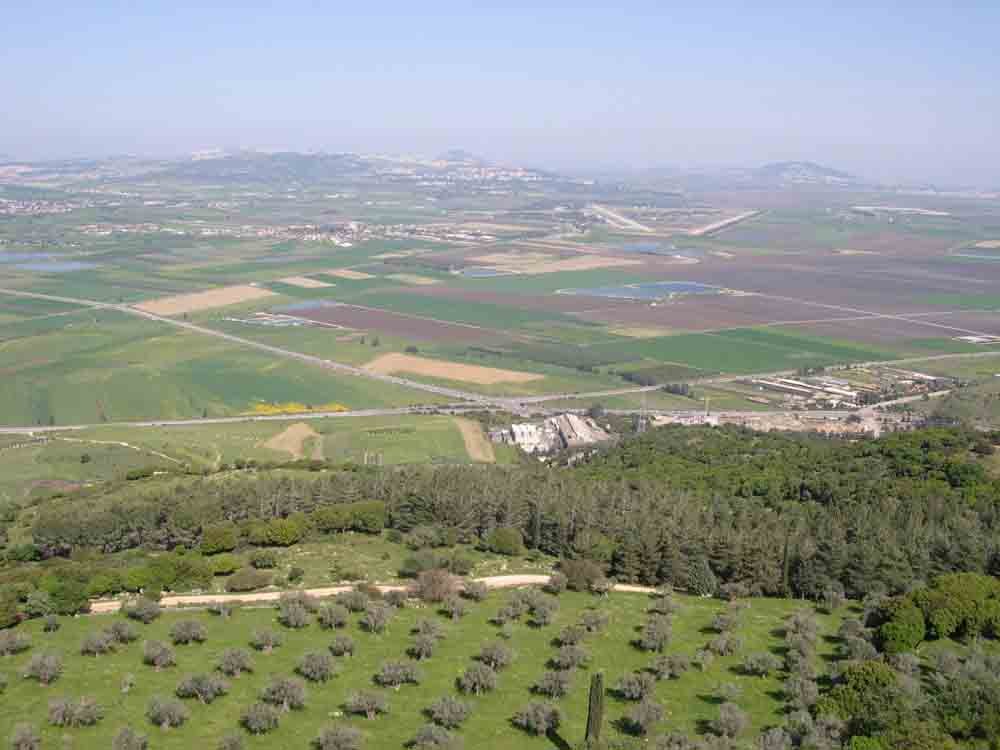 8-4-06 028.jpg