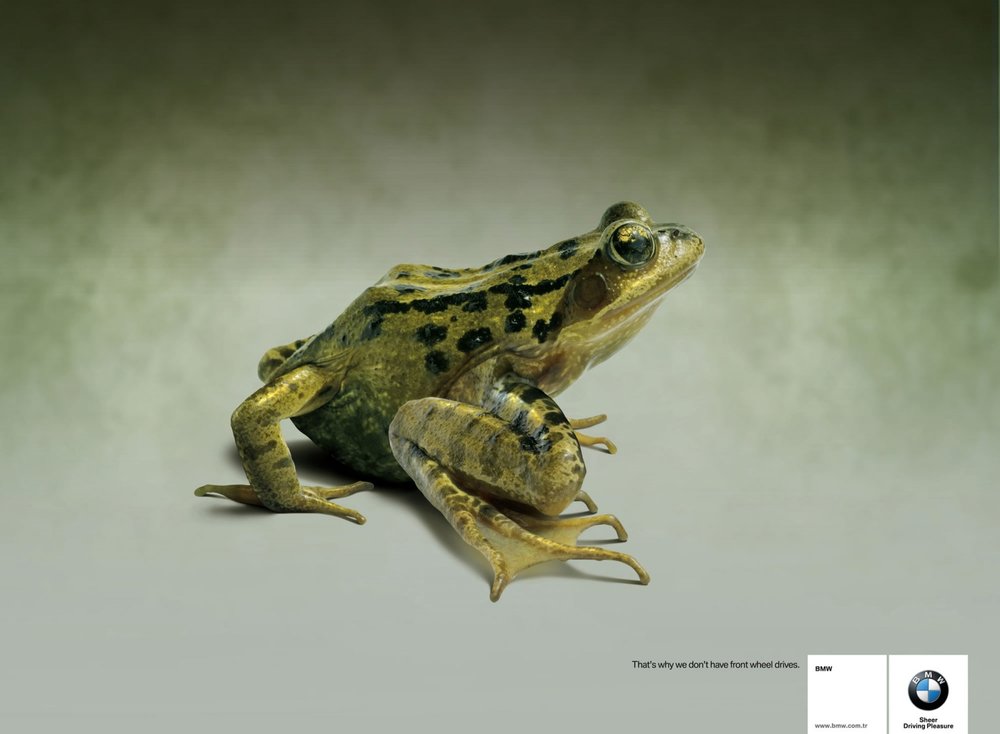 1802000prefrogx146.jpg