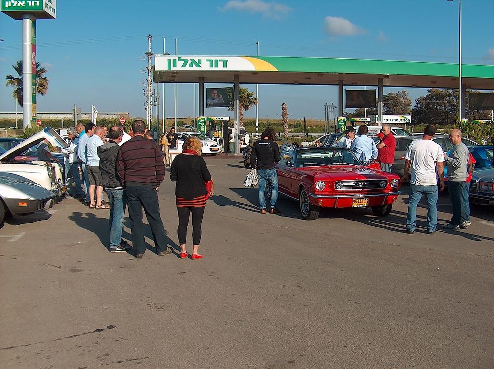 מפגש השרון בגעש  12.4.13 047.jpg
