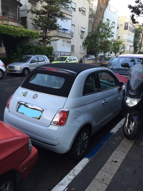 פיאט אחור.jpg