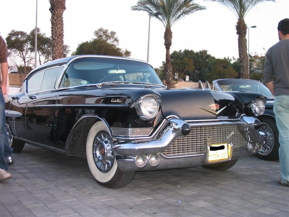 6 (Large).JPG