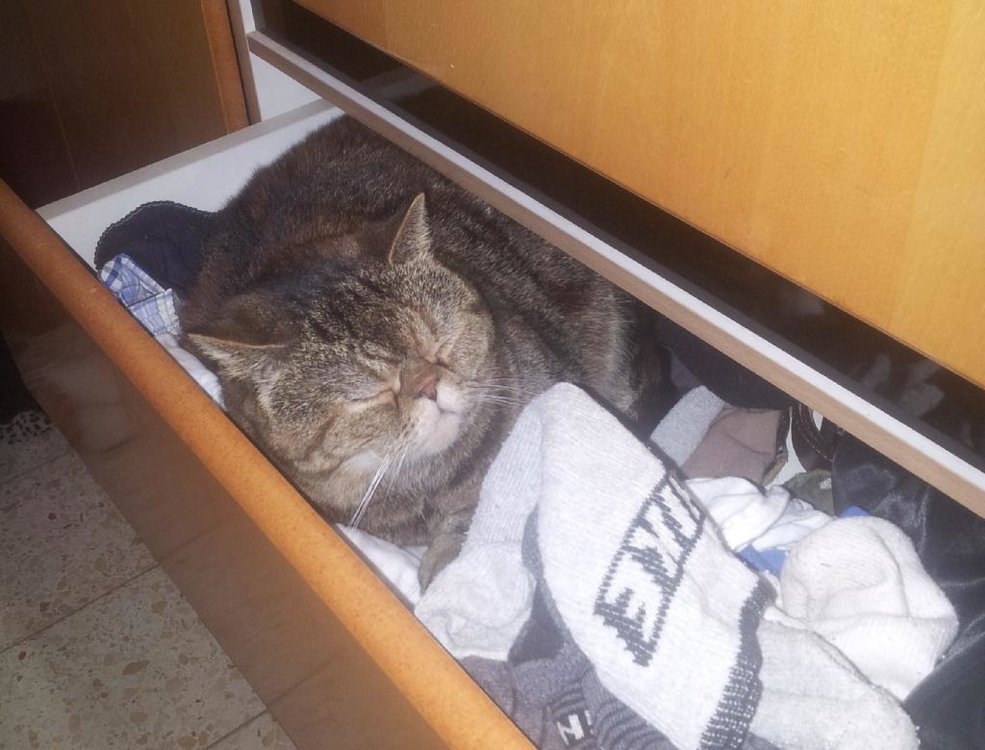 2013-12-11 12.39.01.jpg