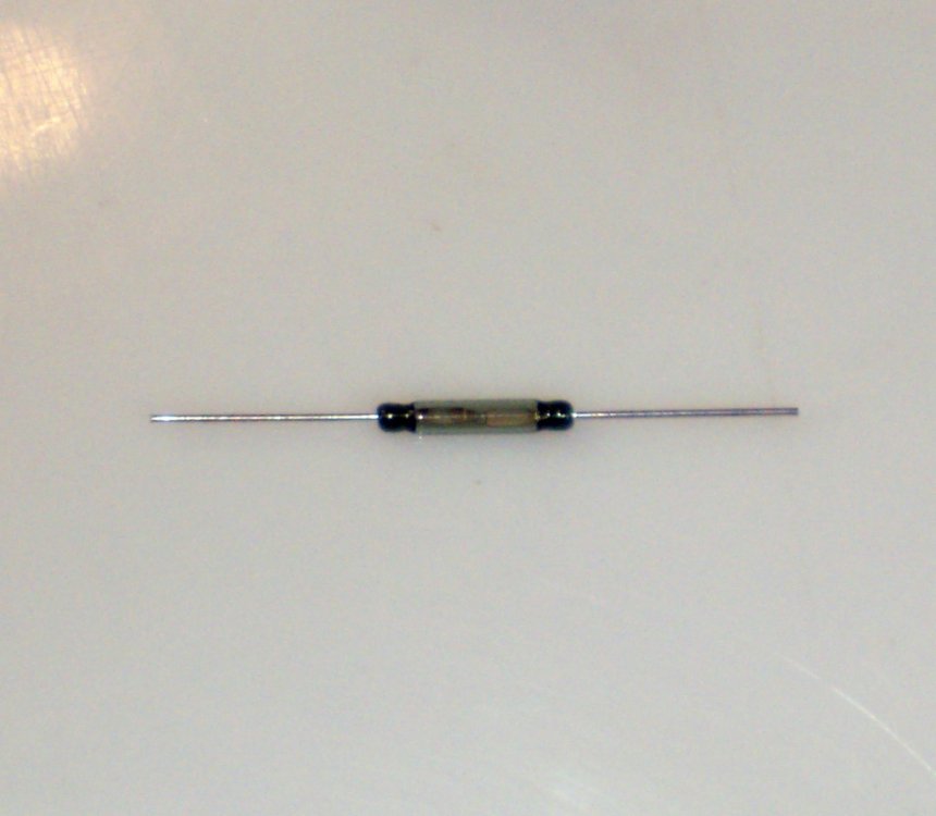 מפסק REED 1.jpg
