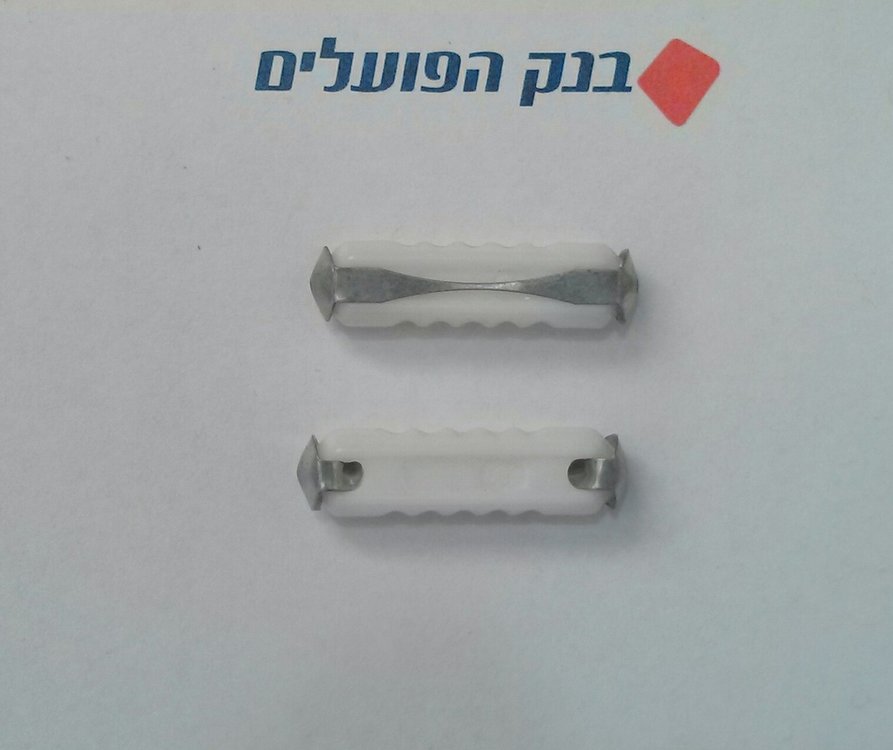 פיוז.jpg