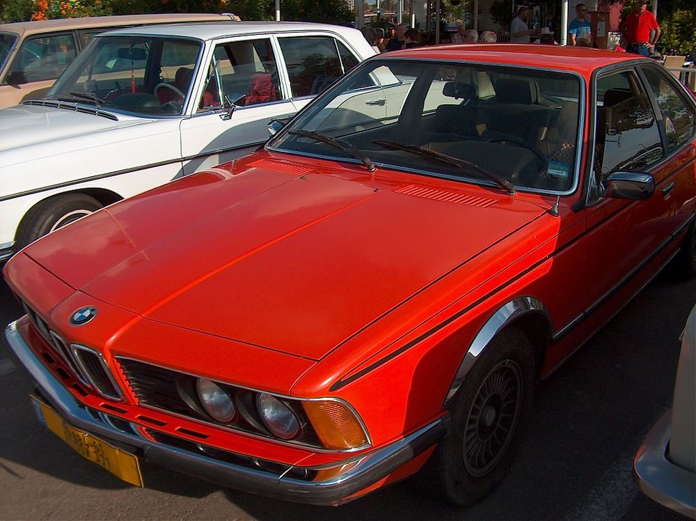 מפגש השרון בגעש 14.6.13 062.jpg
