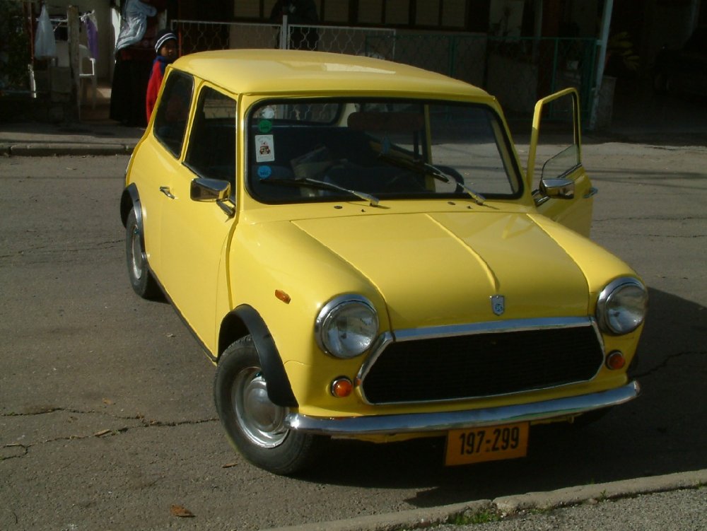 mini after resize.jpg