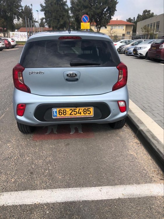 פיקנטו 3.JPG