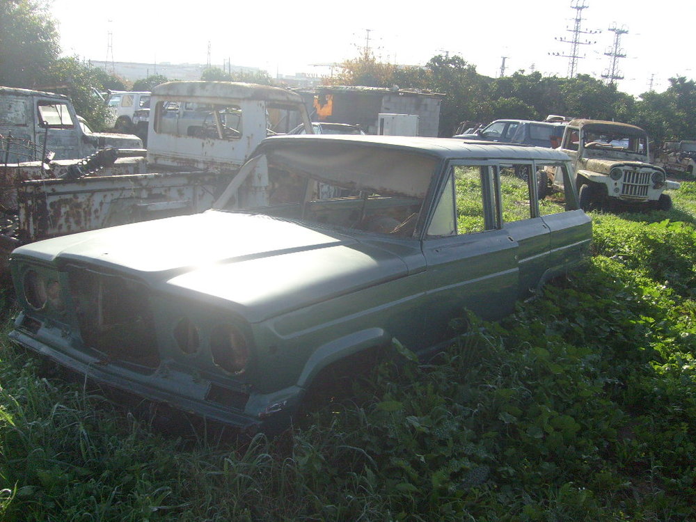 yariv 250.jpg