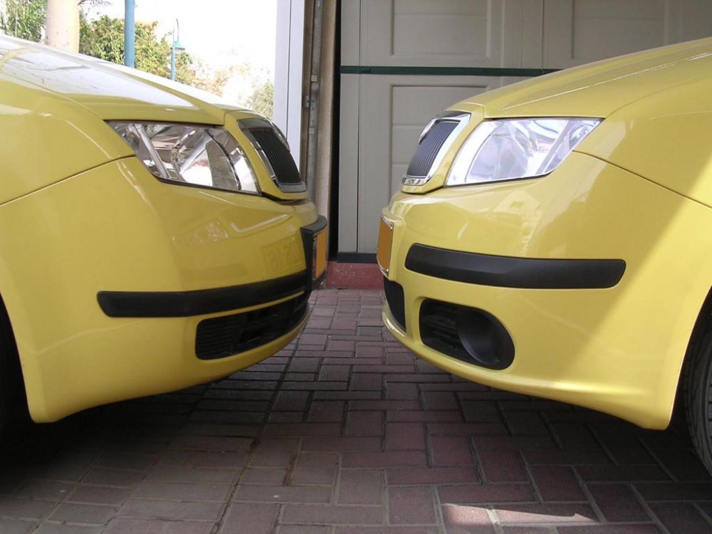 fabia's 6 1.jpg
