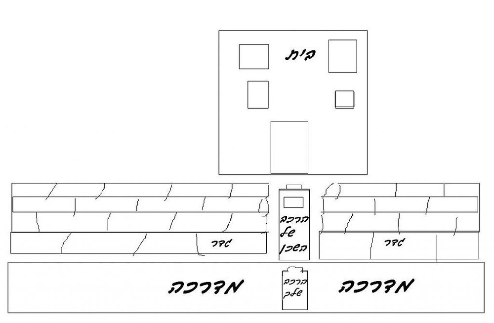 הדשא של השכן.jpg