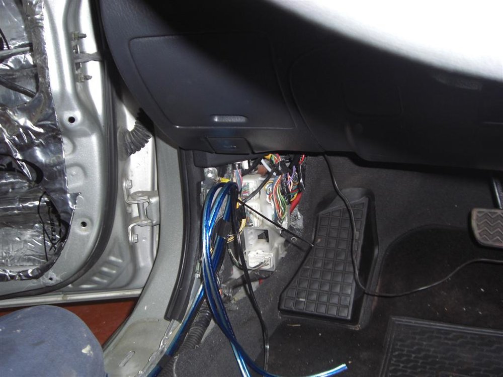 CIMG6072 (Large).JPG