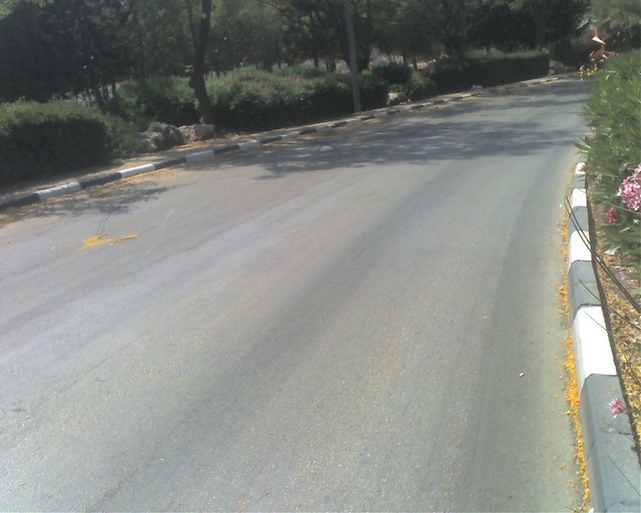 19-05-08_1446.jpg
