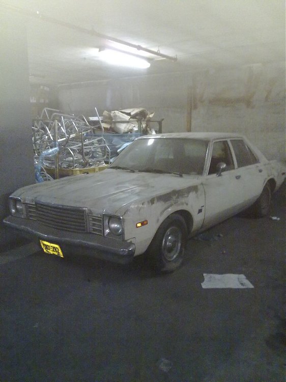 33 043.jpg