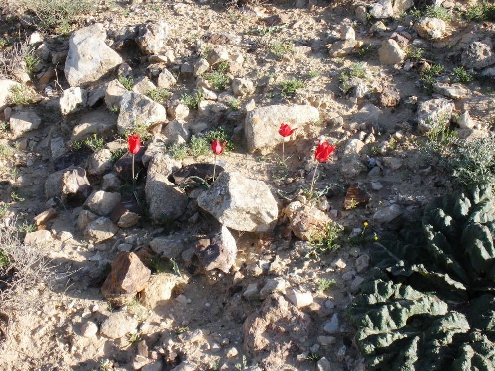 1 072.jpg
