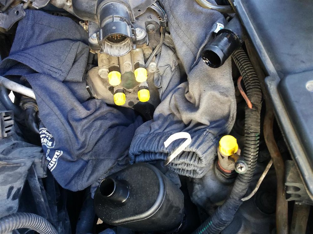 20131026_155225 (Medium).jpg
