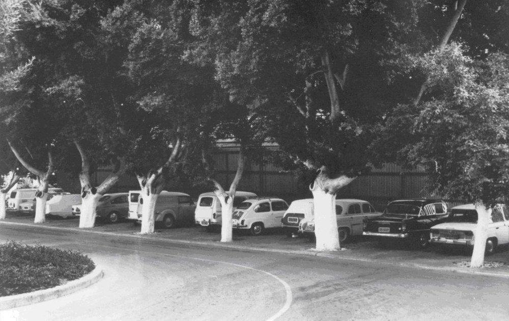 מכון ויצמן 1960.jpg