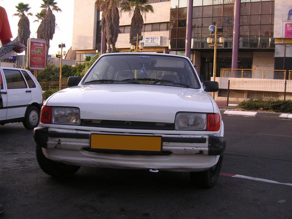 פיאסטה 2.jpg