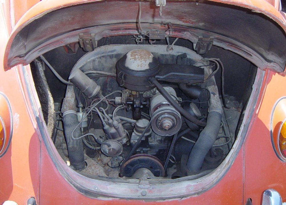 1971beetle3.jpg