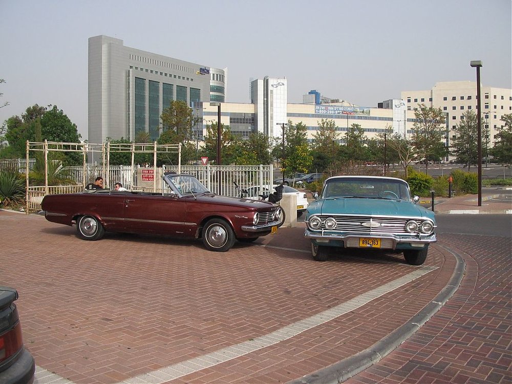 מפגש שפלה 15.5.09 008.jpg