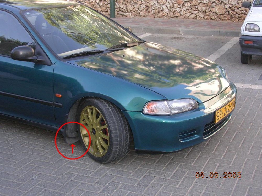 תקריב של המגן בוץ.JPG