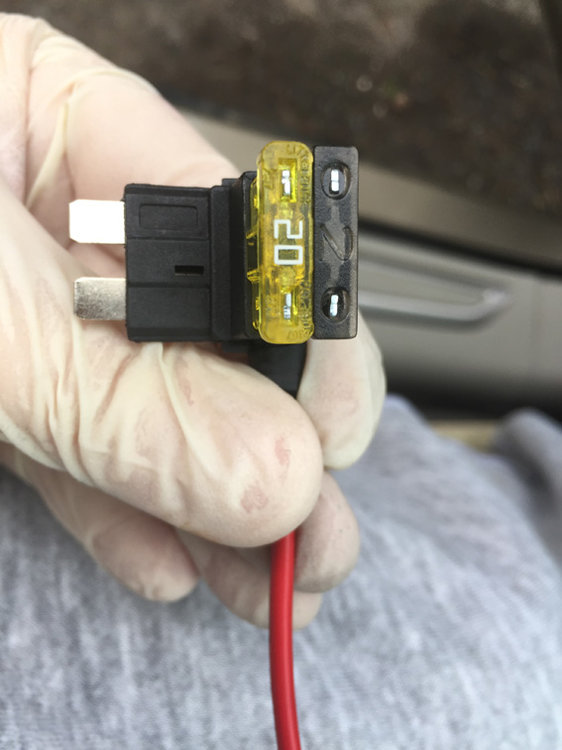 piggy back fuse.jpg