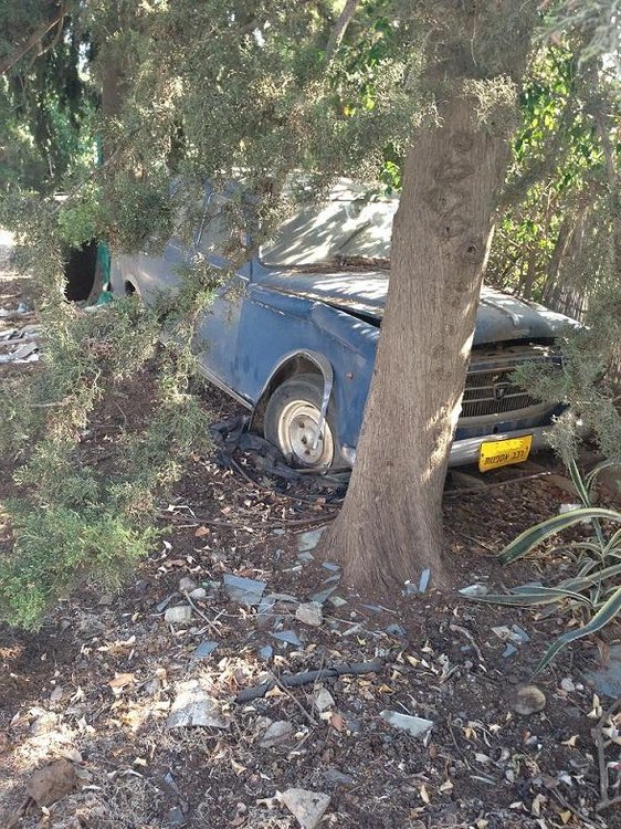 תמונה 002.jpg