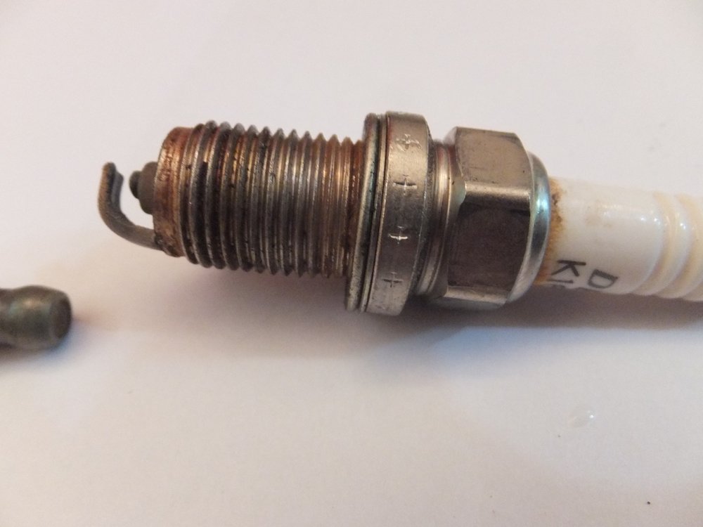 DSCF0698 - עותק.jpg