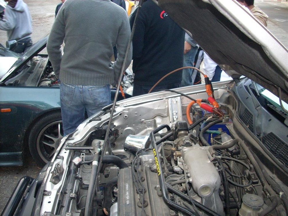 DSCN0260 (Large).JPG