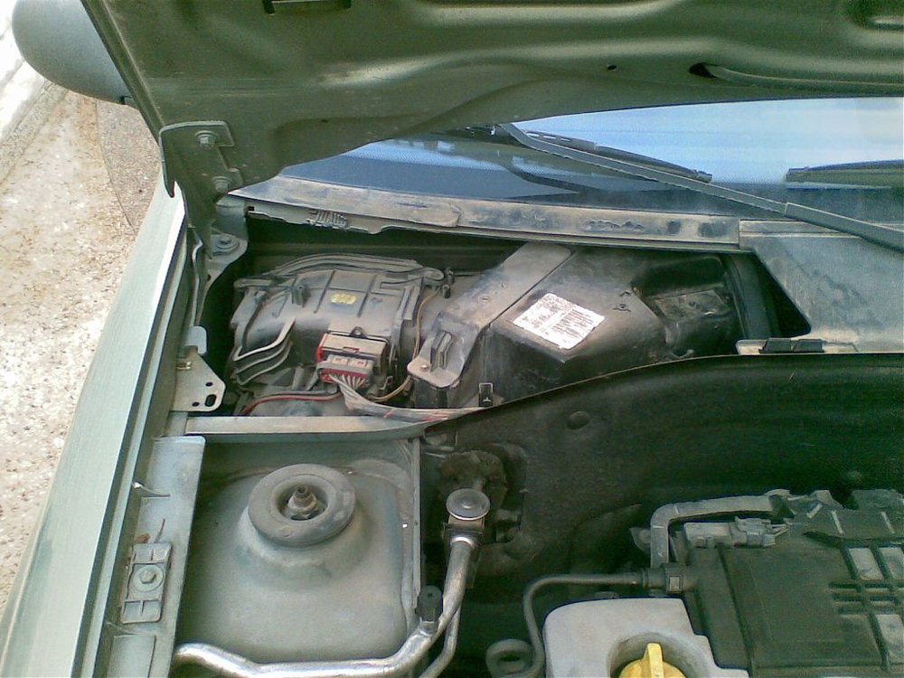 20052011(002).jpg
