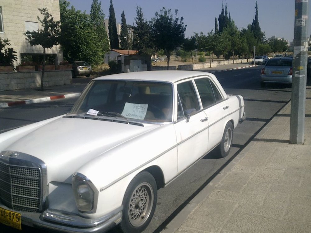 תמונה 065.jpg