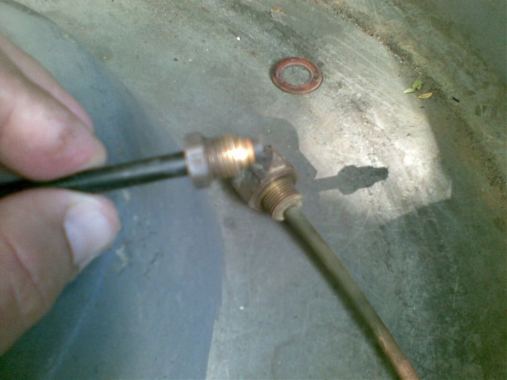 20092009(002).jpg