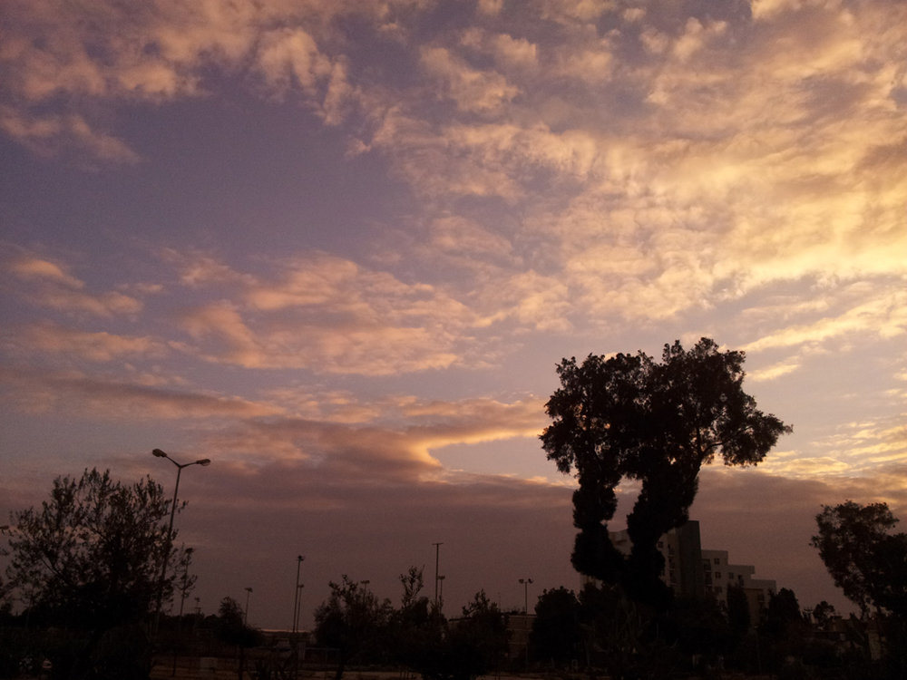 20120111_163051.jpg