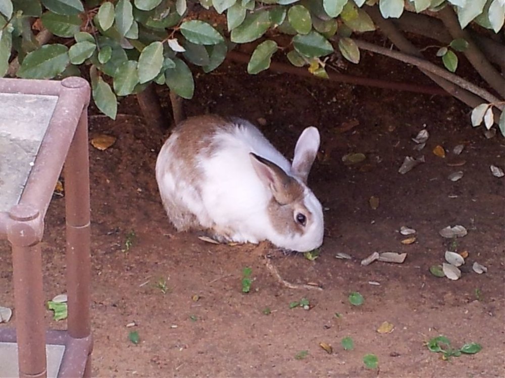 20120407_165202.jpg