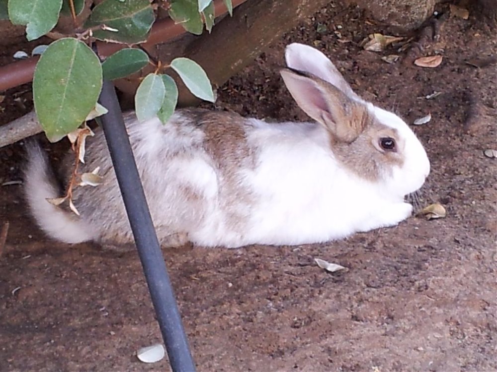 20120407_165329.jpg