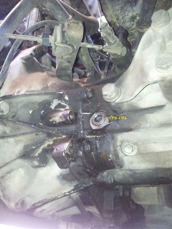 20120905_133233.jpg