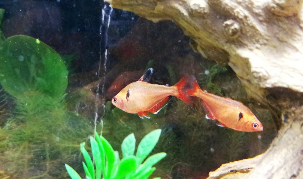 20120927_140831.jpg