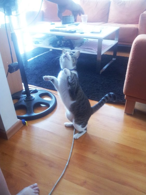 20120930_135853.jpg
