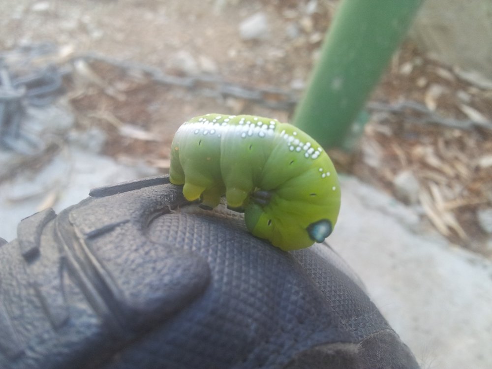 20121011_091840.jpg