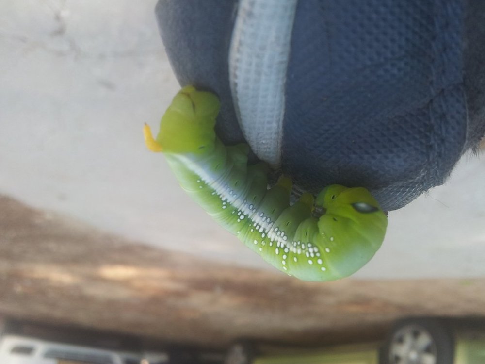 20121011_092125.jpg