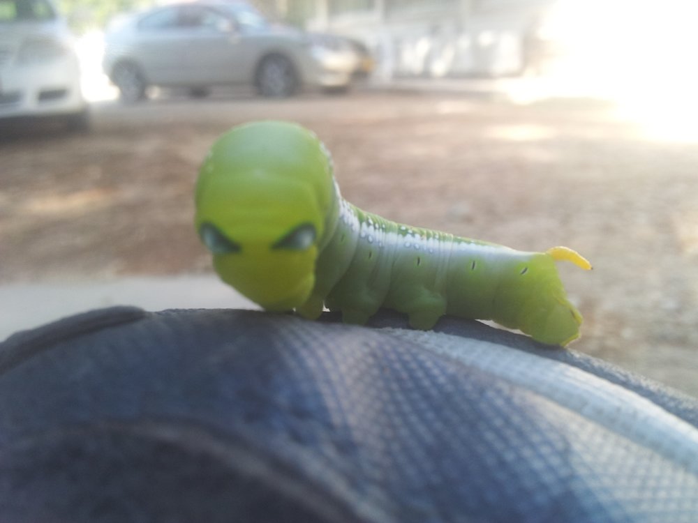 20121011_092154.jpg