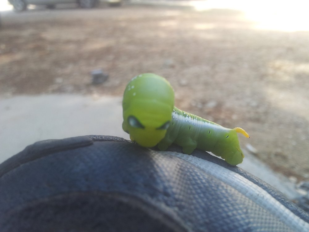 20121011_092208.jpg