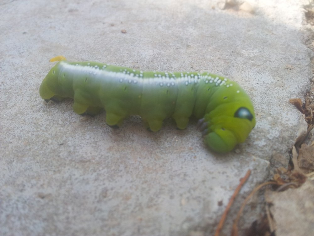 20121011_092334.jpg