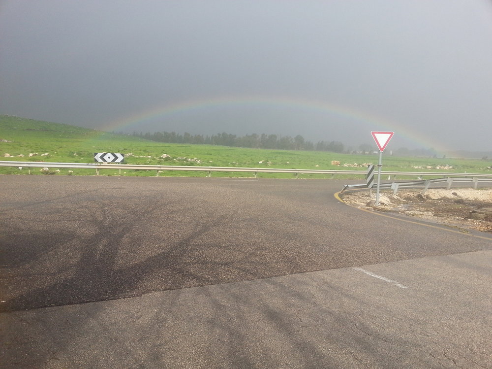 20130109_113417.jpg