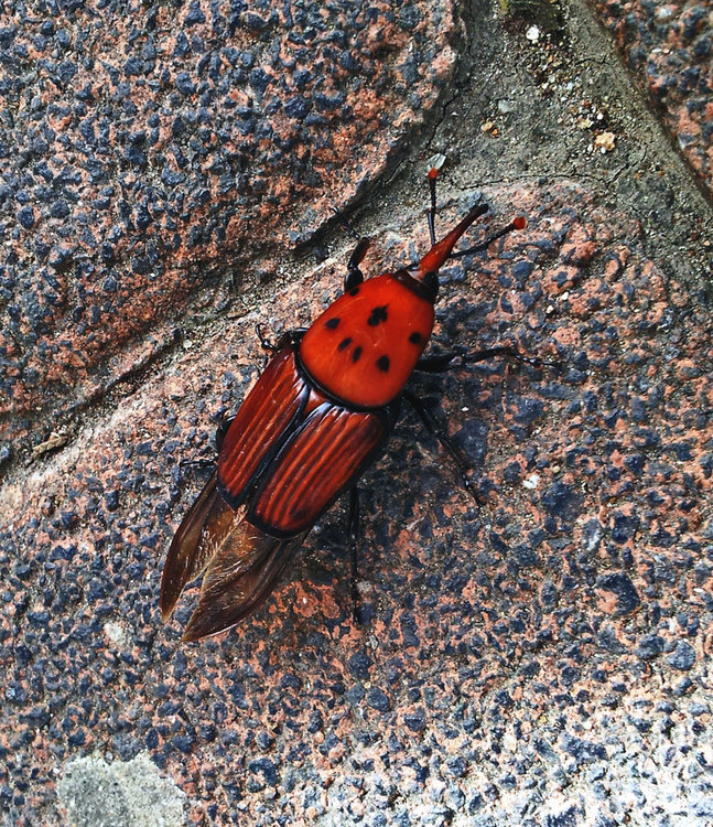 20130331_111957.jpg