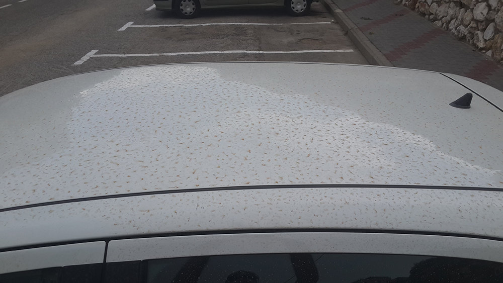 20131101_143615.jpg