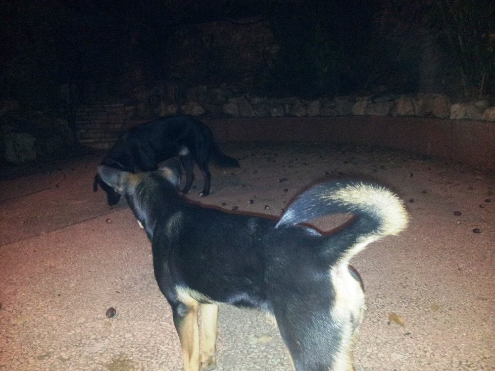 20131111_195001.jpg